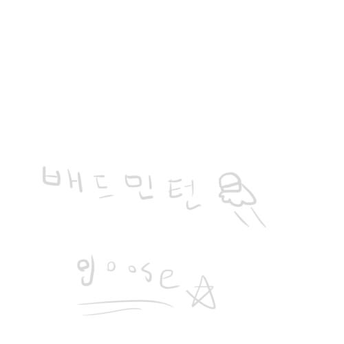 배드민턴