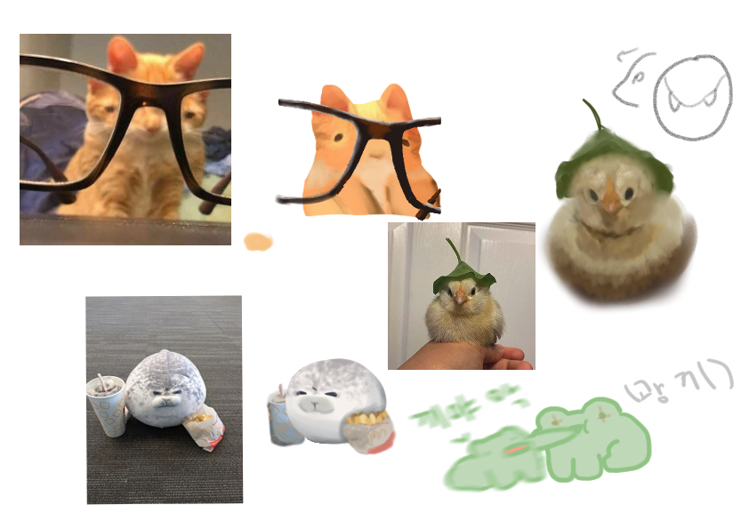 동물jpg